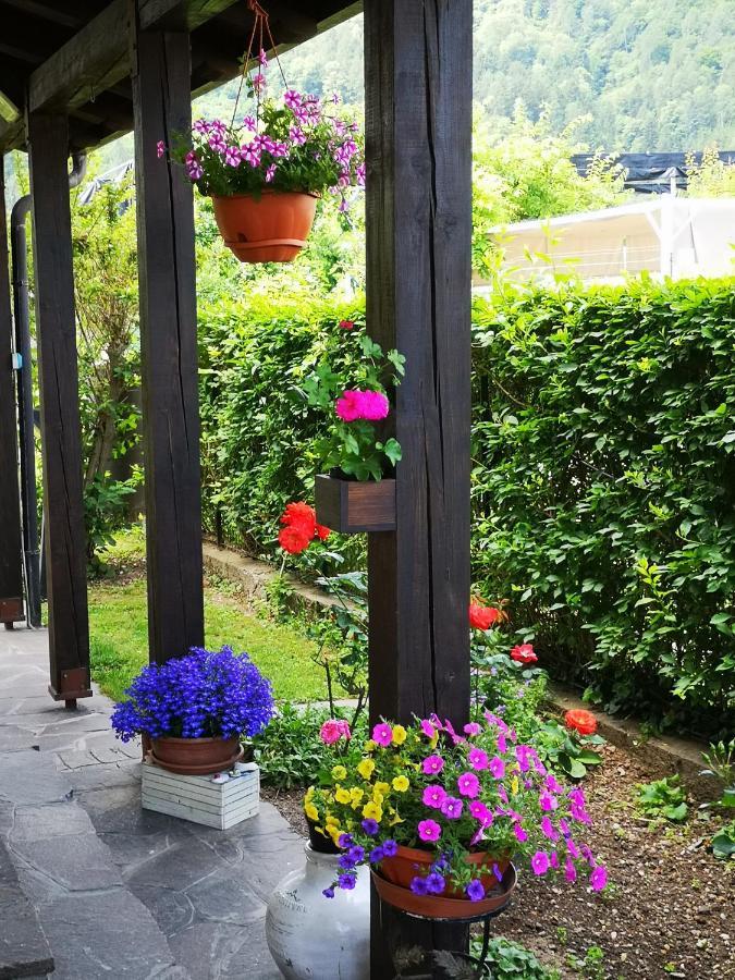 Appartamenti Casa Viviana Pergine Valsugana Esterno foto